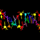 The structure of the new 8-base genetic system. The four naturally occurring bases are shown in green (G), red (A), blue (C), and yellow (T), while the synthetic bases are shown in cyan (B), pink (S), purple (P), and orange (Z).